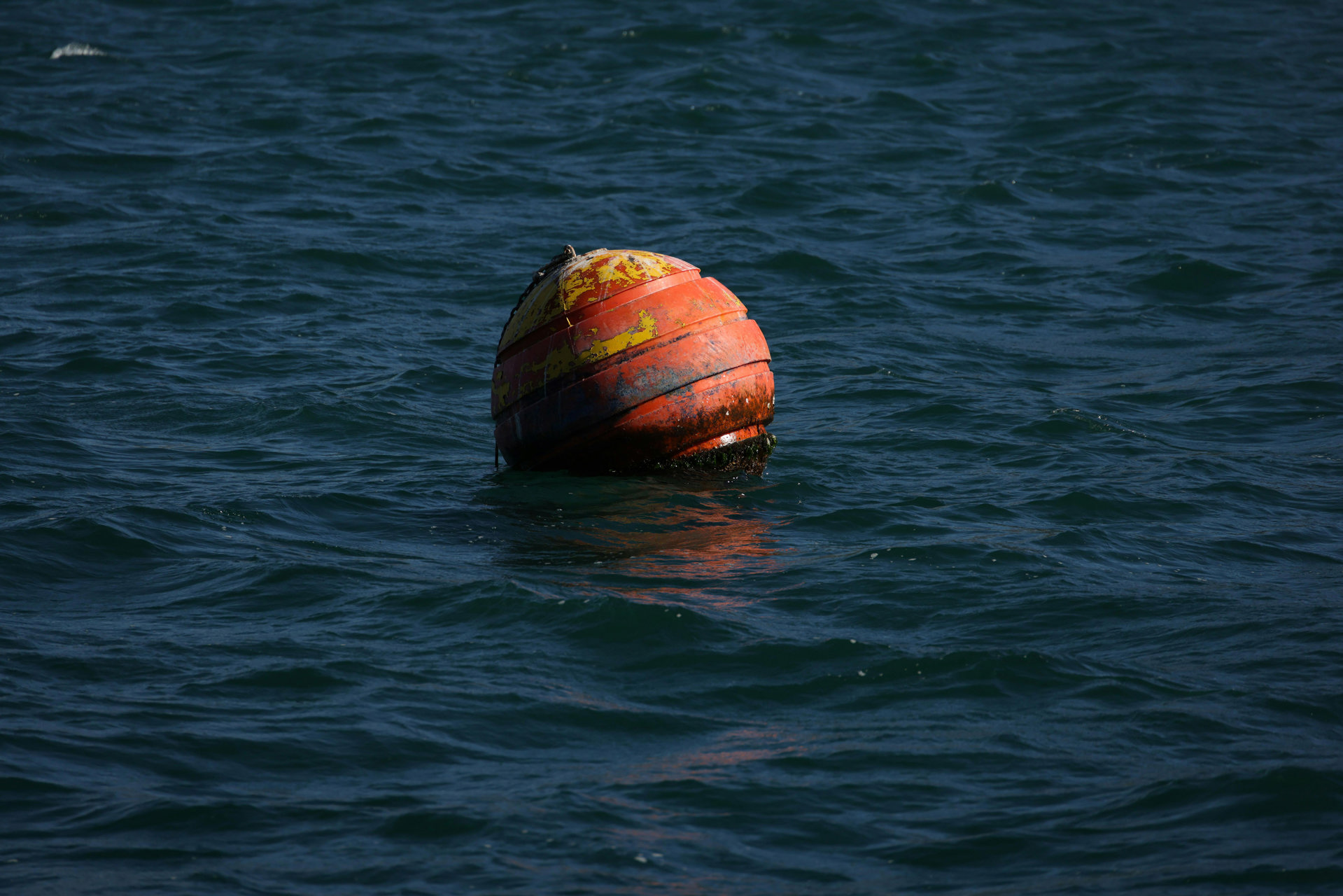 pexels-magda-ehlers-pexels-32693327.jpg.